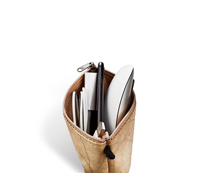 BAG LEAF
