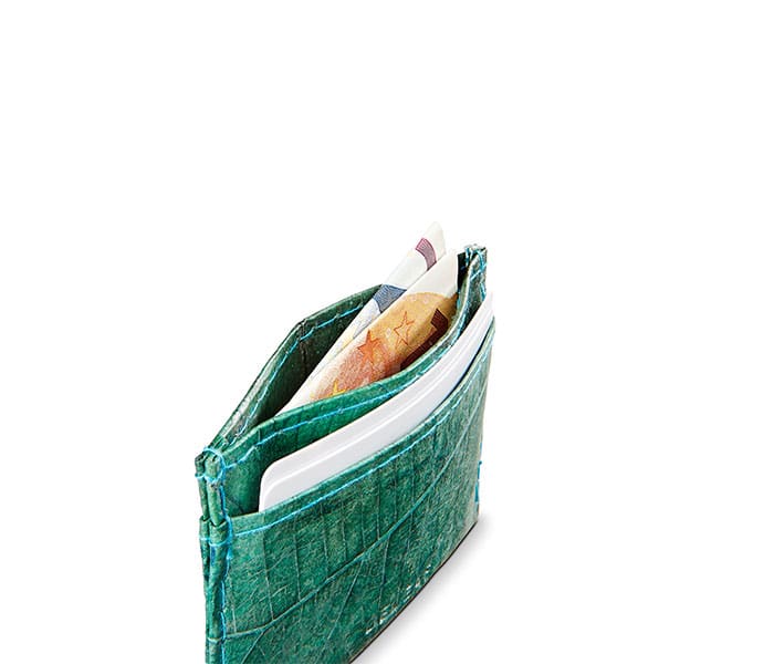 SLIM LEAF | Spruce Blue