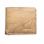 Cashew Beige
